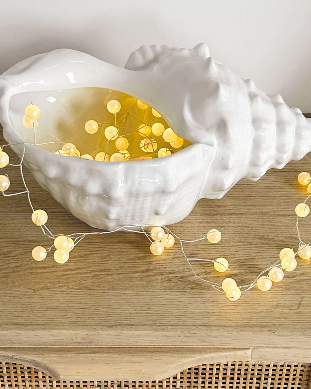 DECO COQUILLAGE - Image 2